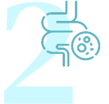 Repair & Restore the Gut